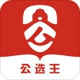 公选王遴选网