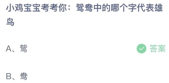 小鸡宝宝考考你鸳鸯中的哪个字代表雄鸟 蚂蚁庄园9月9日今天答案正确答案