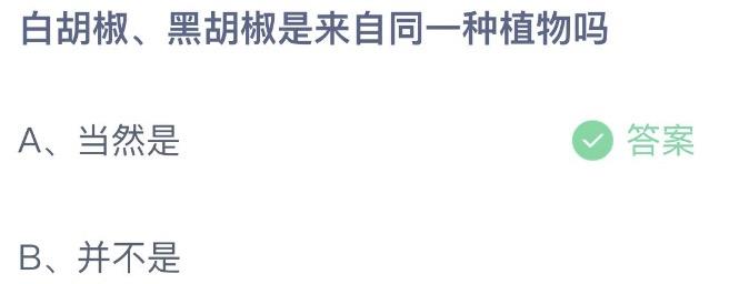 白胡椒黑胡椒是来自同一种植物吗 蚂蚁庄园9月16日今天答案正确答案