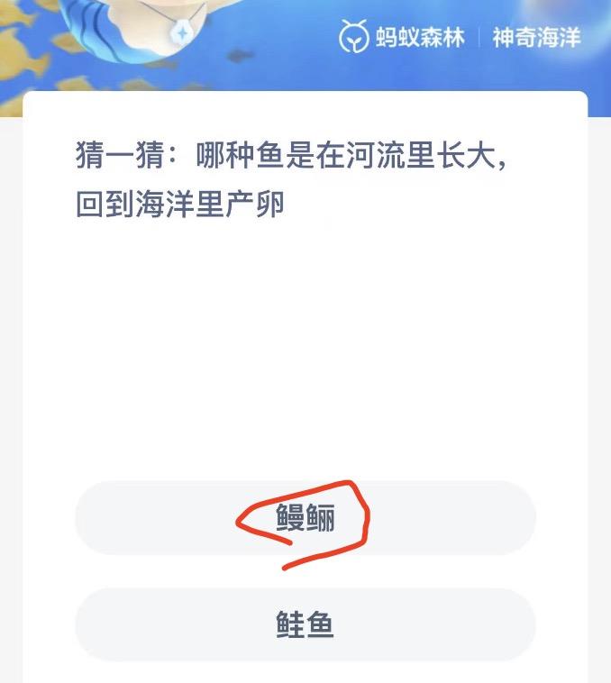 神奇海洋9月25日今日答案最新 神奇海洋小知识今日答案