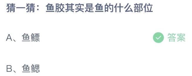 猜一猜鱼胶其实是鱼的什么部位 蚂蚁庄园9月26日今天答案正确答案