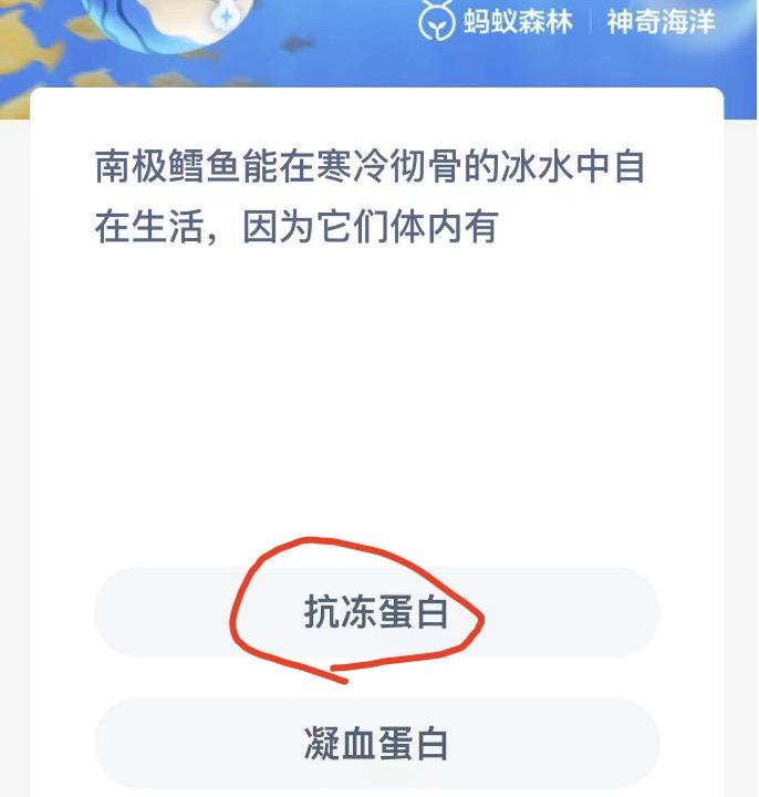 神奇海洋10月2日今日答案最新 神奇海洋小知识今日答案