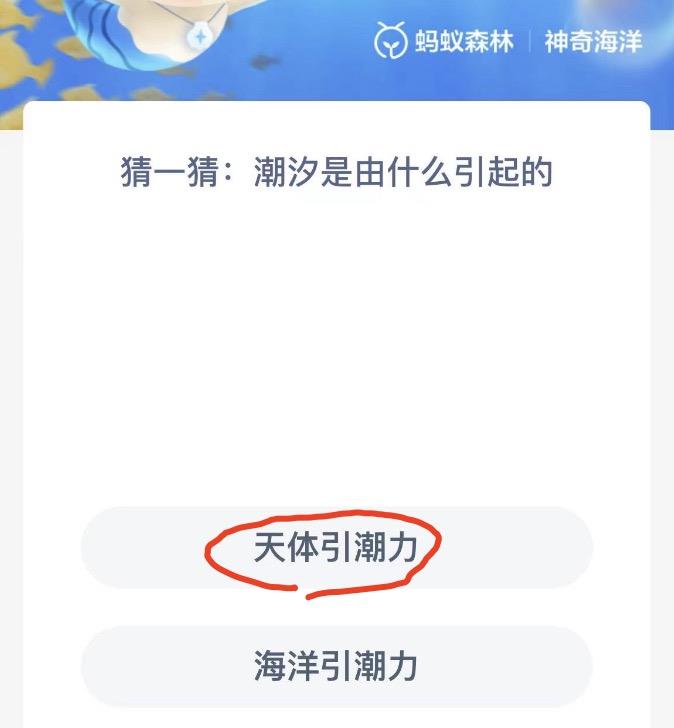 神奇海洋10月9日今日答案最新 神奇海洋小知识今日答案