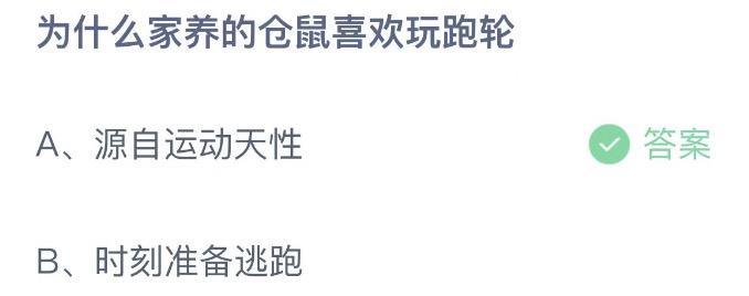 为什么家养的仓鼠喜欢玩跑轮 支付宝蚂蚁庄园10月16日答案