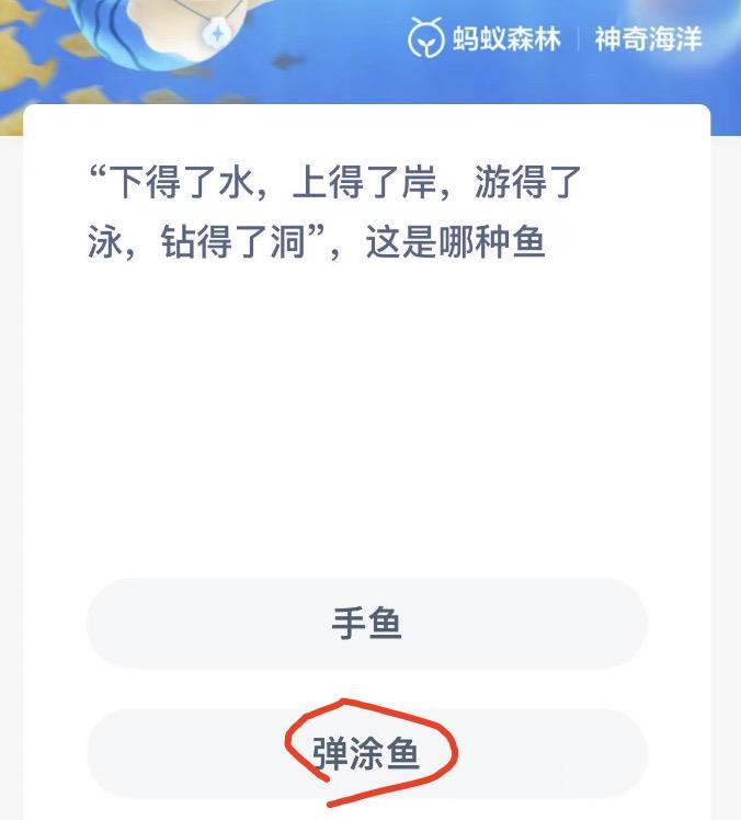 神奇海洋10月22日今日答案最新 神奇海洋小知识今日答案