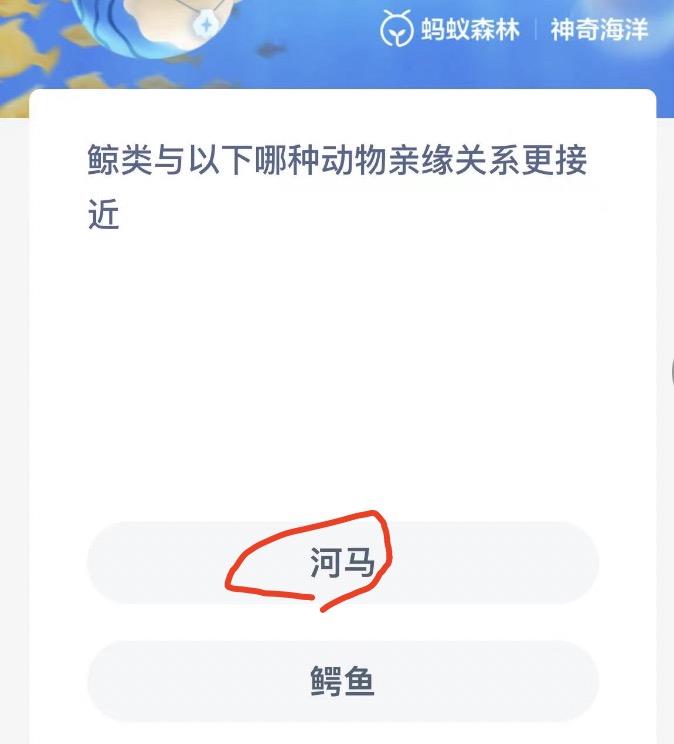 神奇海洋10月23日今日答案最新 神奇海洋小知识今日答案