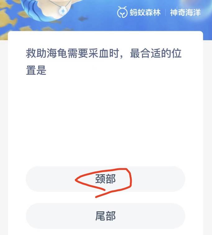 神奇海洋10月25日今日答案最新 神奇海洋小知识今日答案