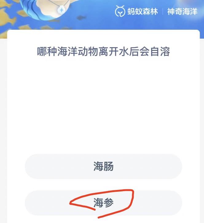神奇海洋11月1日今日答案最新 神奇海洋小知识今日答案