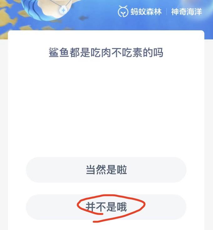 神奇海洋10月31日今日答案最新 神奇海洋小知识今日答案