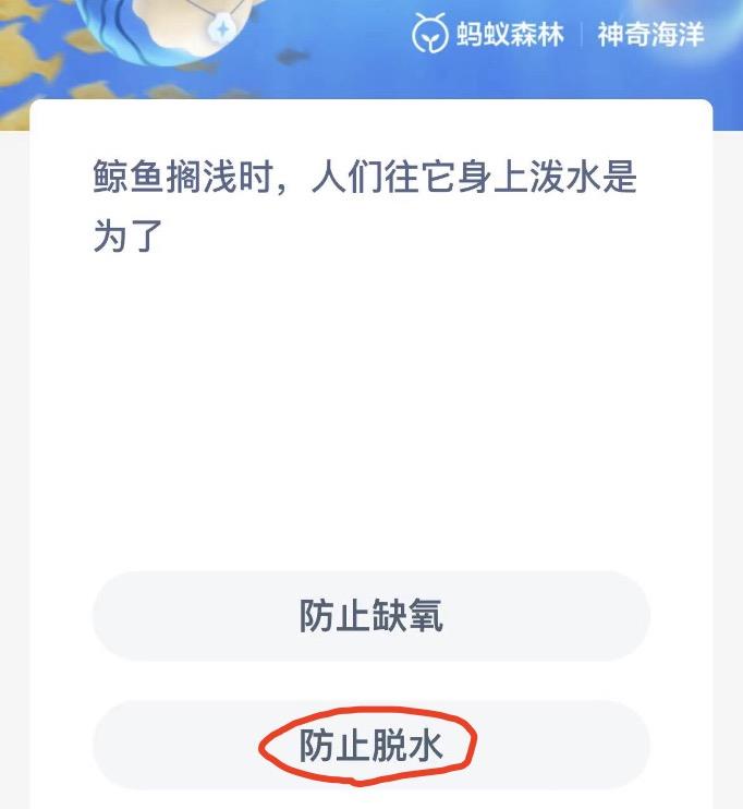 神奇海洋11月3日今日答案最新 神奇海洋小知识今日答案
