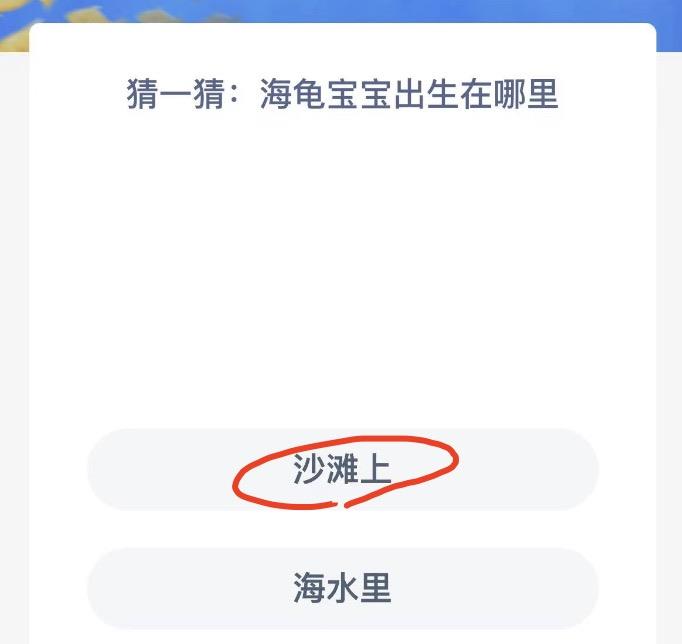 神奇海洋11月8日今日答案最新 神奇海洋小知识今日答案