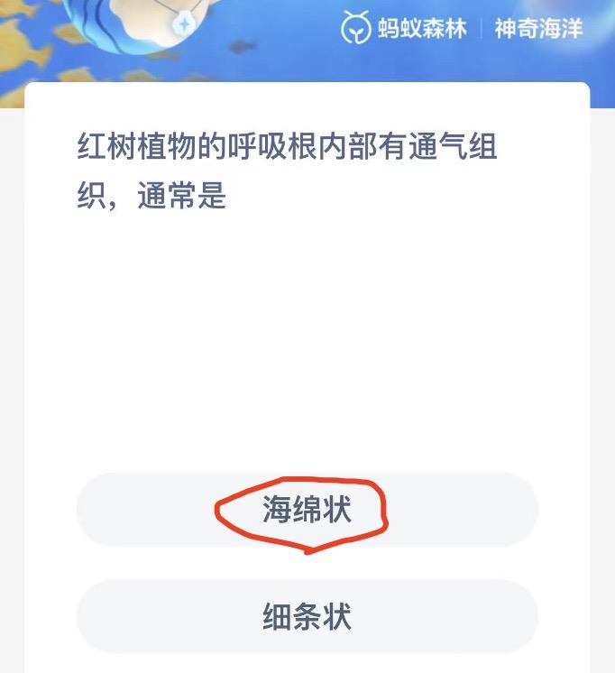 神奇海洋11月15日今日答案最新 神奇海洋小知识今日答案