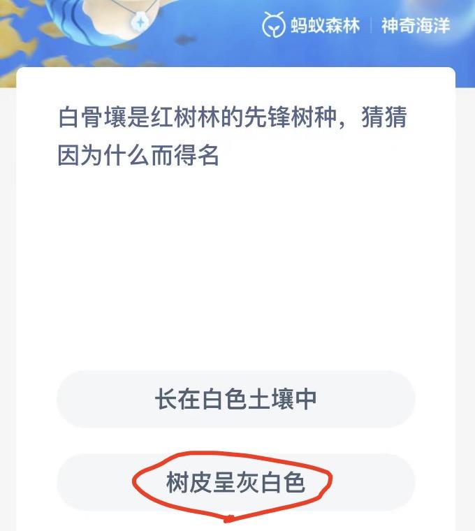 神奇海洋11月22日今日答案最新 神奇海洋小知识今日答案