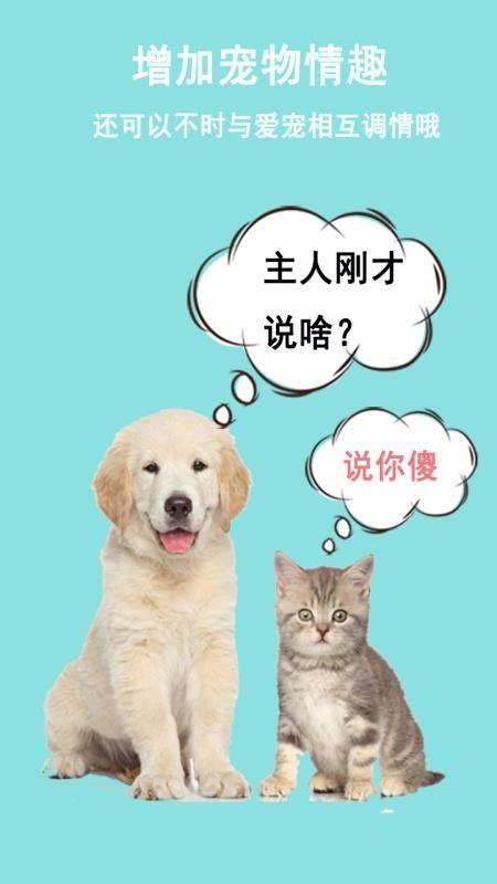 猫狗语言交流器3