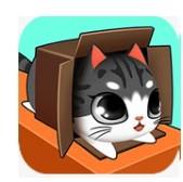 盒子里的猫