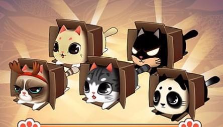 盒子里的猫2