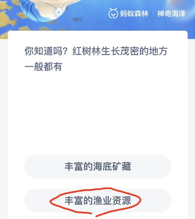 红树林生长茂密的地方一般都有 神奇海洋今日答案12月3日