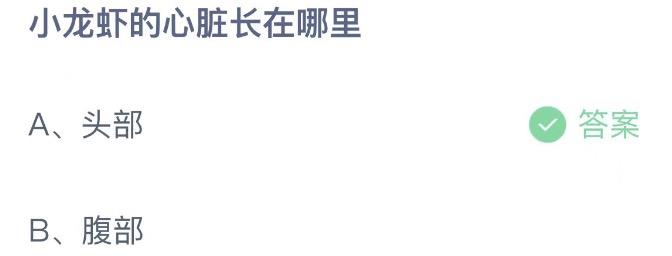 小龙虾的心脏长在哪里 今日蚂蚁庄园12月4日答案