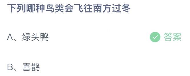 下列哪种鸟类会飞往南方过冬 今日蚂蚁庄园12月11日答案