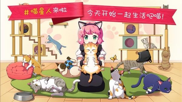 猫猫咖啡屋测试服4