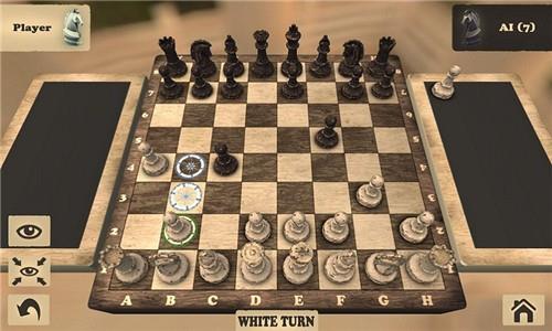 国际象棋5
