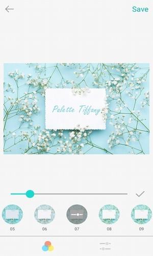 Palette Tiffany相机5