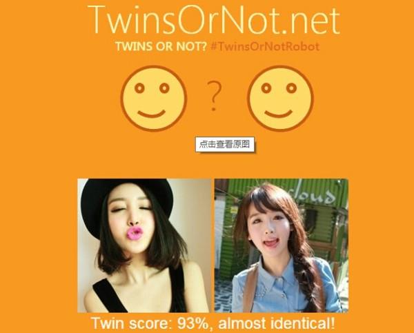 twins or not net1