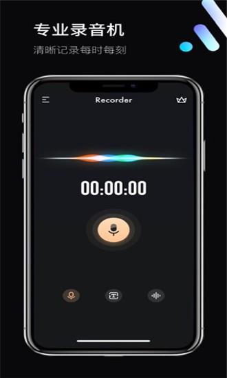 录音专业版