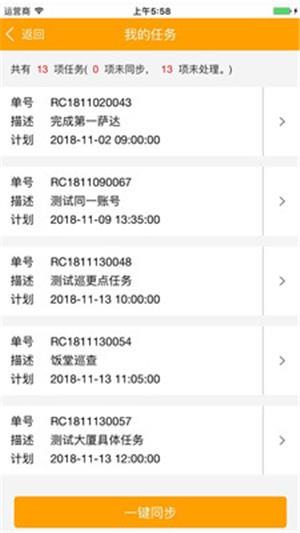 313巡检云