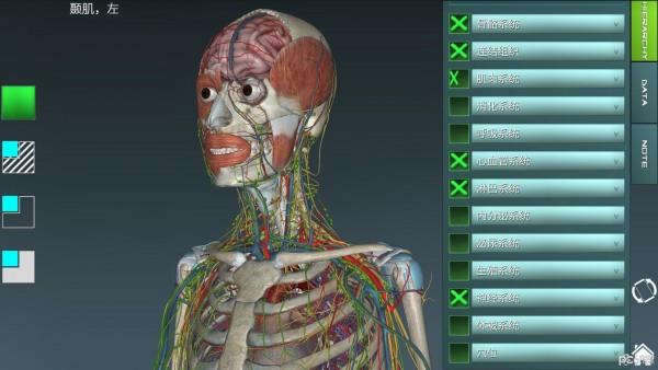 人体解剖学图集1