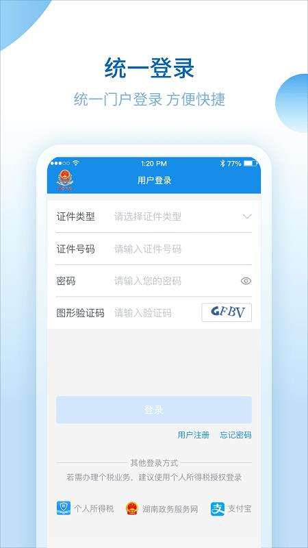 湖南税务服务平台1