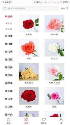 宜花找鲜花