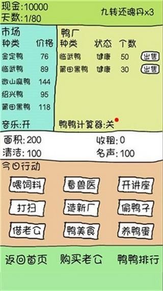 疯狂养鸭场