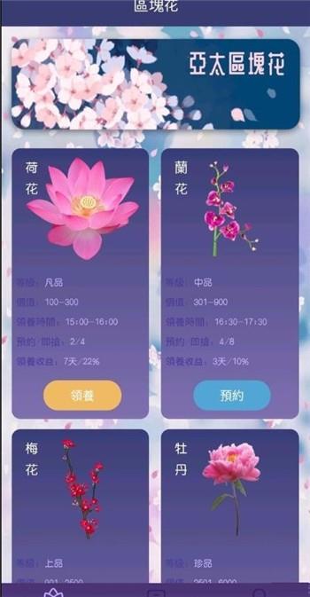 流星花园3