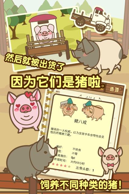 国民养猪4