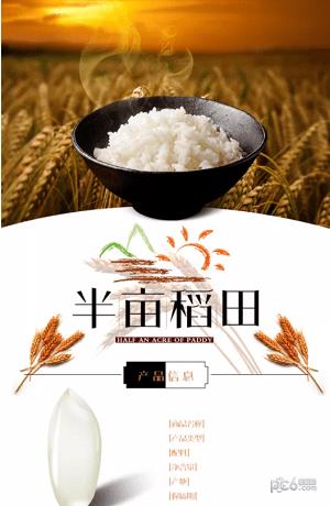 半亩稻田1