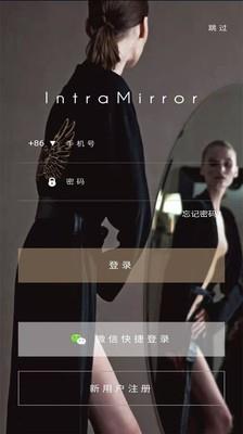 IntraMirror1