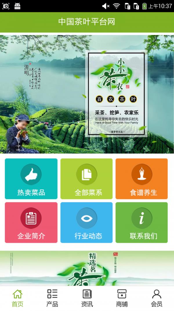 中国茶叶平台网1