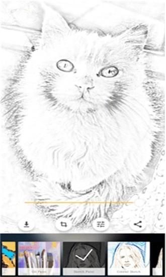 Art Pencil Camera3