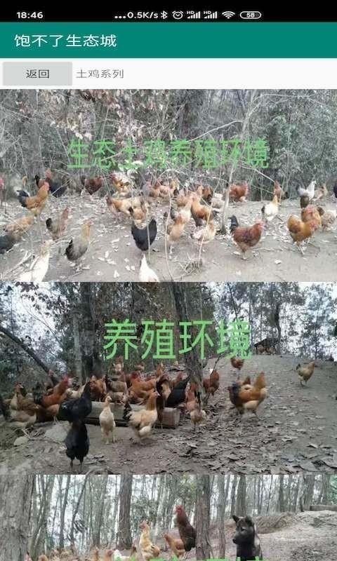 饱不了3