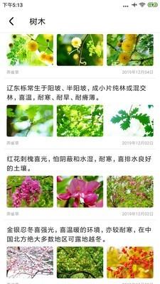 植物百科2