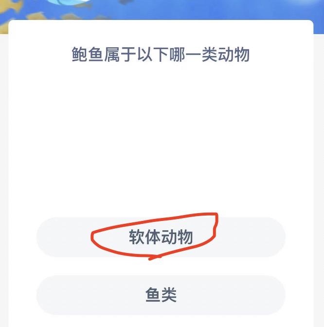 神奇海洋1月5日今日答案最新 神奇海洋小知识今日答案