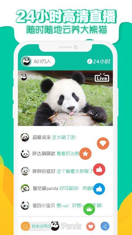 熊猫频道4