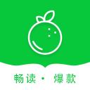 青桔免费小说app最新版