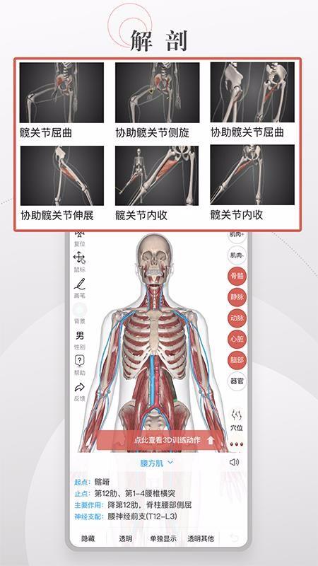 运动功能解剖教学系统2