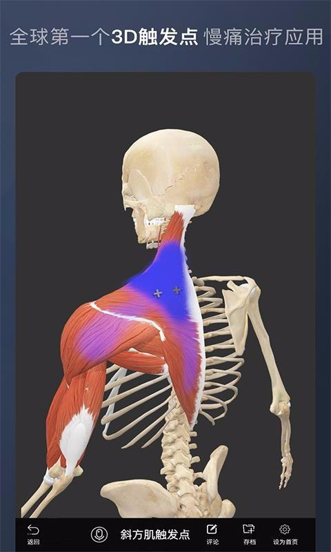 维萨里3D解剖2