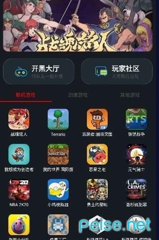 像素联机安卓中文汉化版5