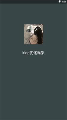 king优化框架免费版2