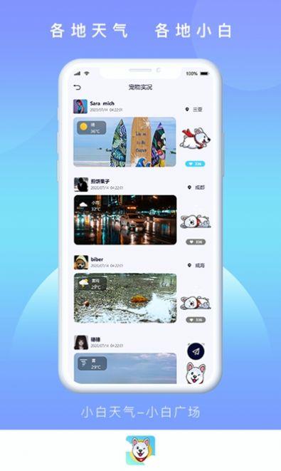 小白天气手机版3