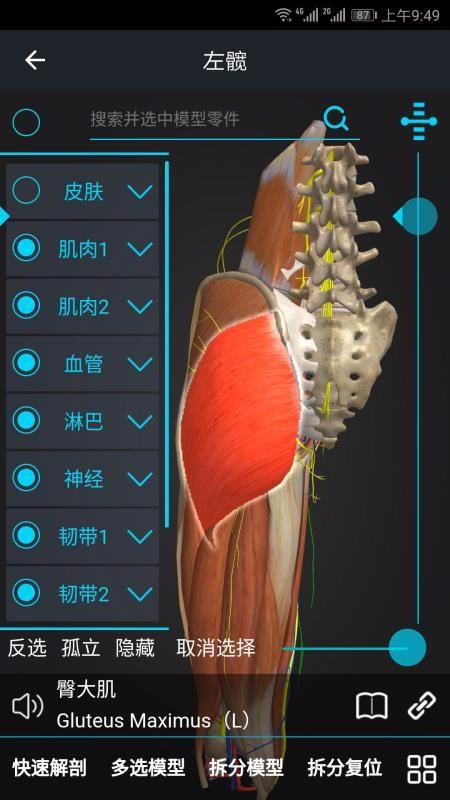 医维度2